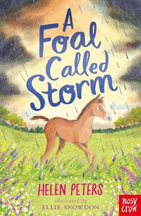 Cover image for A Foal Called Storm