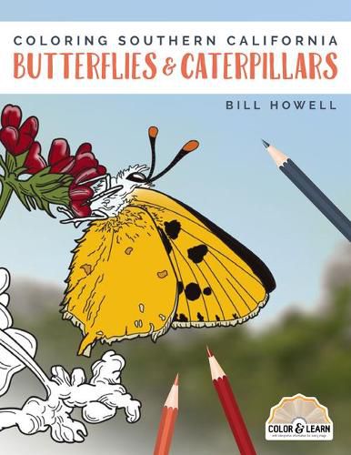 Coloring Southern California Butterflies and Caterpillars