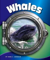 Cover image for Whales