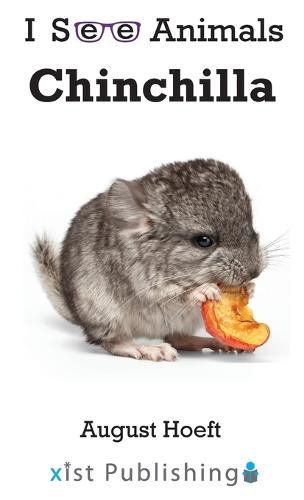 Chinchilla