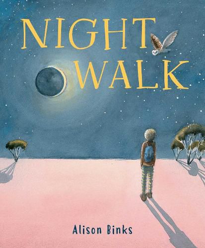 Cover image for Night Walk