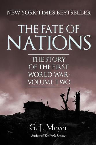Cover image for The Fate of Nations: The Story of the First World War, Volume Two