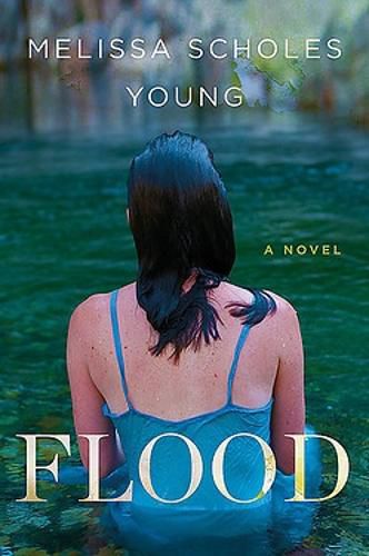 Cover image for Flood: A Novel