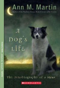 Cover image for A Dog's Life: The Autobiography of a Stray (Scholastic Gold)