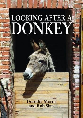 Cover image for Looking After a Donkey