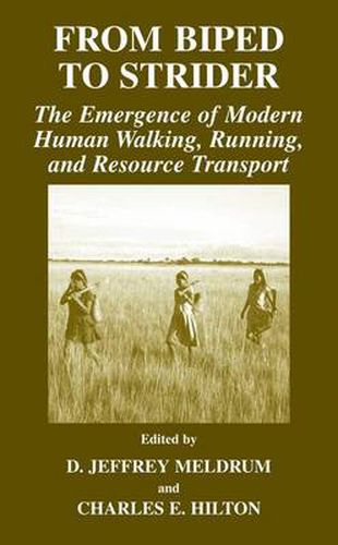 Cover image for From Biped to Strider: The Emergence of Modern Human Walking, Running, and Resource Transport