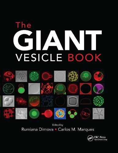 Cover image for The Giant Vesicle Book