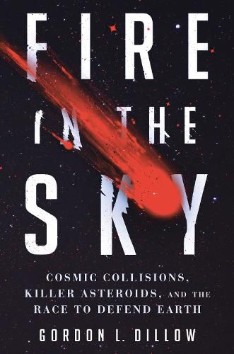 Cover image for Fire in the Sky