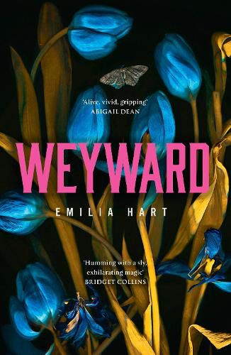 Cover image for Weyward