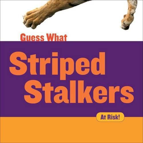 Cover image for Striped Stalkers: Tiger