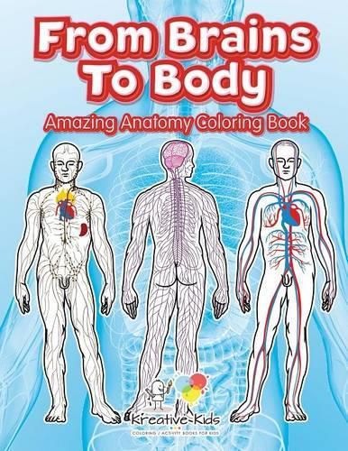 Cover image for From Brains to Body: Amazing Anatomy Coloring Book
