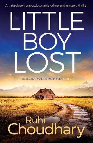 Little Boy Lost: An absolutely unputdownable crime and mystery thriller