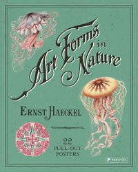 Cover image for Ernst Haeckel: Art Forms in Nature: 22 Pull-Out Posters