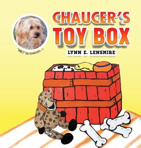 Cover image for Chaucer's Toy Box