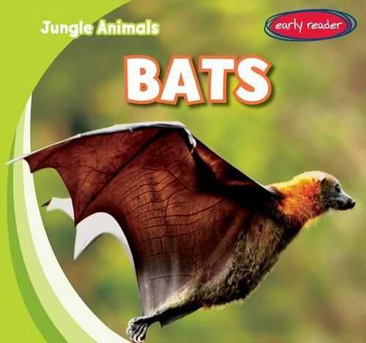 Cover image for Bats