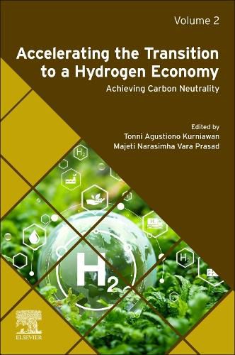 Accelerating the Transition to a Hydrogen Economy