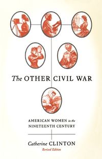 Cover image for The Other Civil War: American Women in the Nineteenth Century