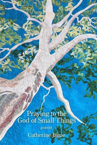 Cover image for Praying to the God of Small Things