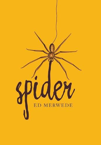 Cover image for Spider