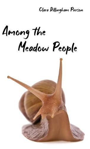 Cover image for Among the Meadow People