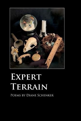 Cover image for Expert Terrain