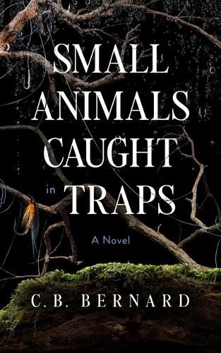 Small Animals Caught in Traps