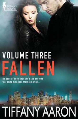 Cover image for Fallen Volume Three