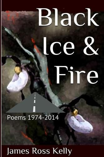 Cover image for Black Ice & Fire