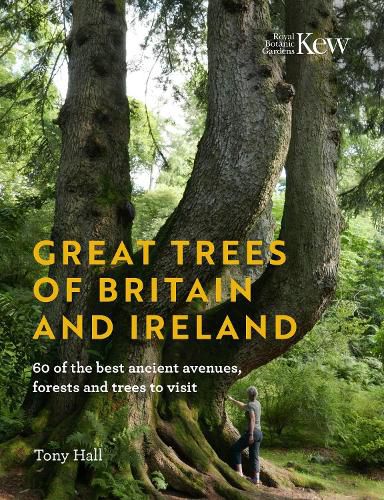 Great Trees of Britain and Ireland: Over 70 of the best ancient avenues, forests and trees to visit