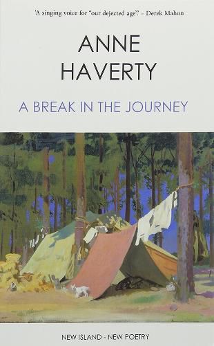 Cover image for A Break in the Journey