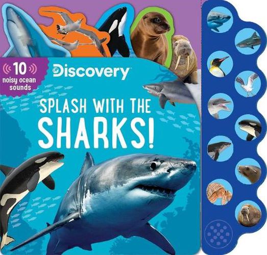 Discovery: Splash with the Sharks!