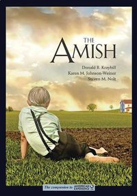 Cover image for The Amish