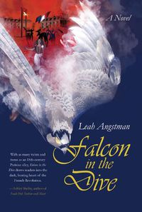 Cover image for Falcon in the Dive