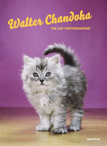 Cover image for Walter Chandoha: The Cat Photographer