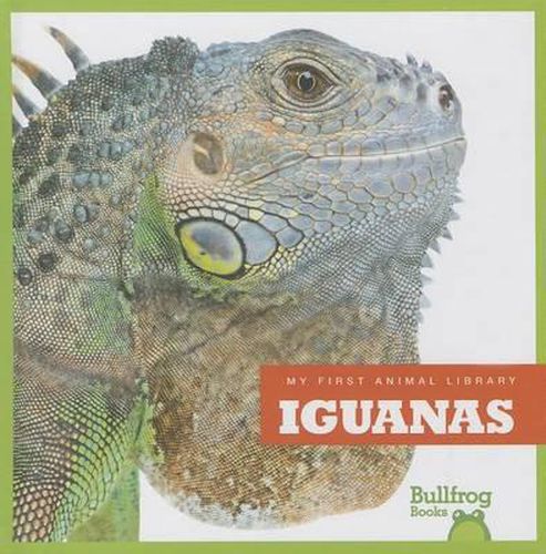 Cover image for Iguanas