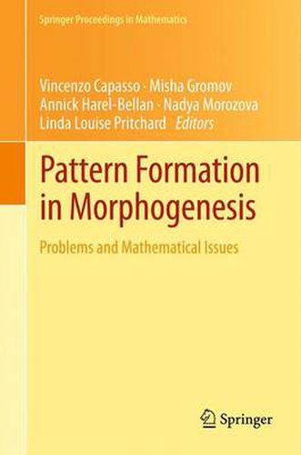 Cover image for Pattern Formation in Morphogenesis: Problems and Mathematical Issues