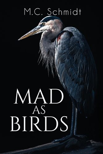 Cover image for Mad as Birds