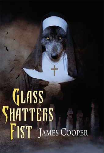 Cover image for Glass Shatters Fist