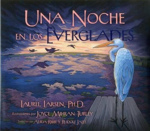 Cover image for Una Noche en los Everglades