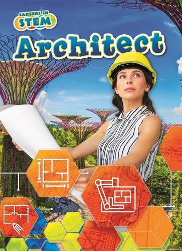 Cover image for Architect