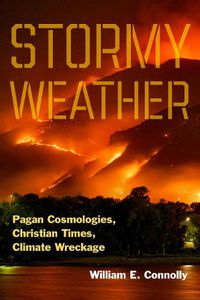 Cover image for Stormy Weather