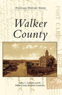 Cover image for Walker County