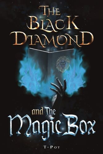 Cover image for The Black Diamond and the Magic Box