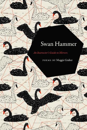 Cover image for Swan Hammer: An Instructor's Guide to Mirrors