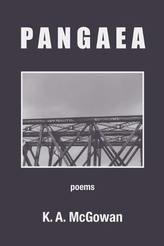 Cover image for Pangaea