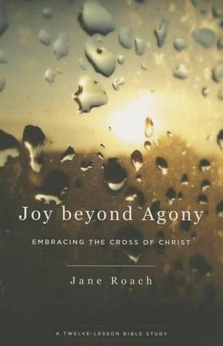 Cover image for Joy Beyond Agony