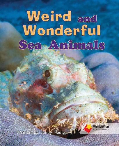 Cover image for Weird and Wonderful Sea Animals