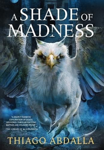 Cover image for A Shade of Madness