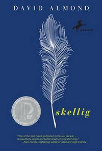 Cover image for Skellig