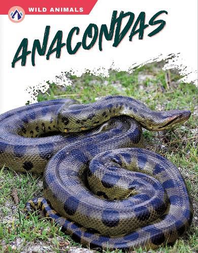 Cover image for Anacondas